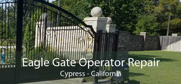 Eagle Gate Operator Repair Cypress - California