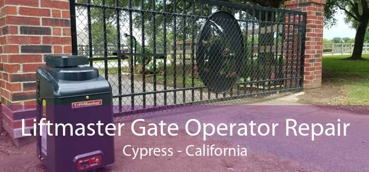 Liftmaster Gate Operator Repair Cypress - California